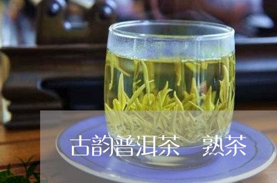 古韵普洱茶 熟茶/2023031799502